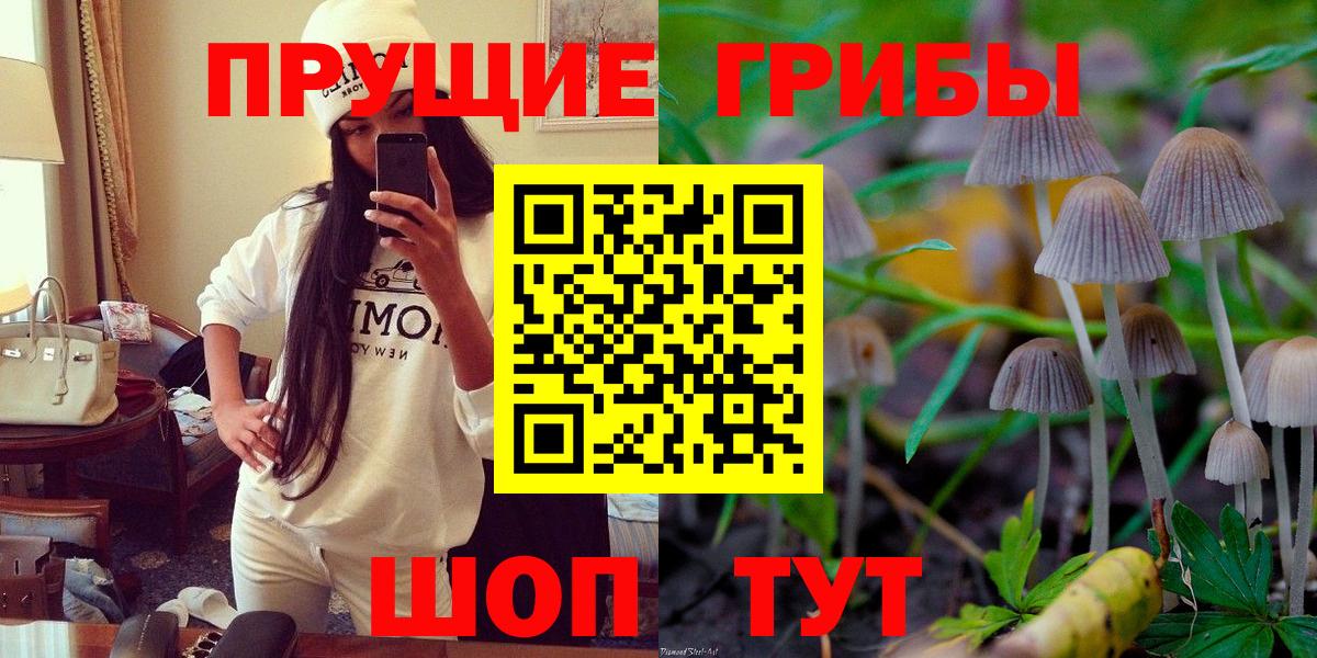 Псилоцибиновые грибы Psilocybe Донской