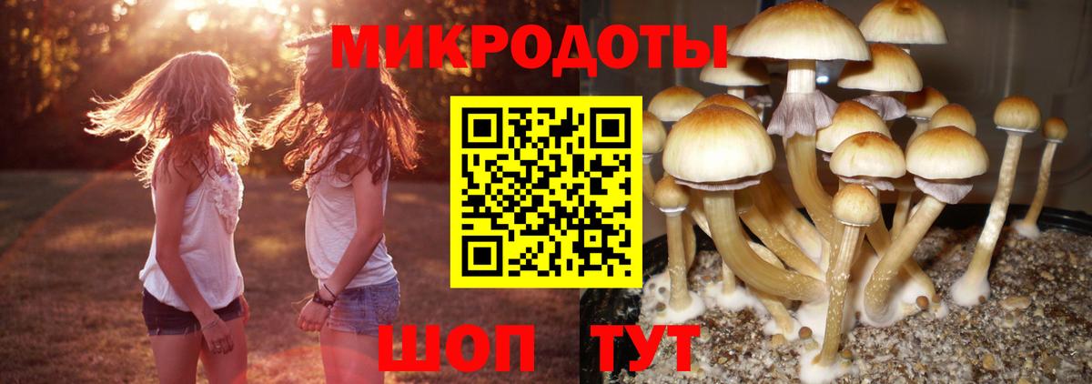 Галлюциногенные грибы Cubensis  Галлюциногенные грибы мухоморы  Вход с VPN  Донской 